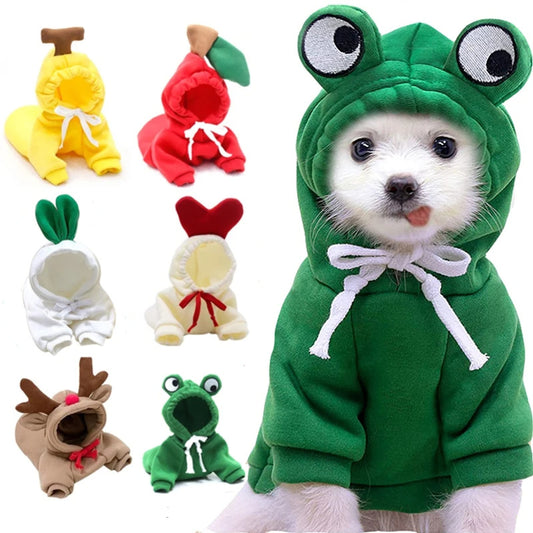 Fruit Hoodie for Small Dogs – Warm Winter Fleece